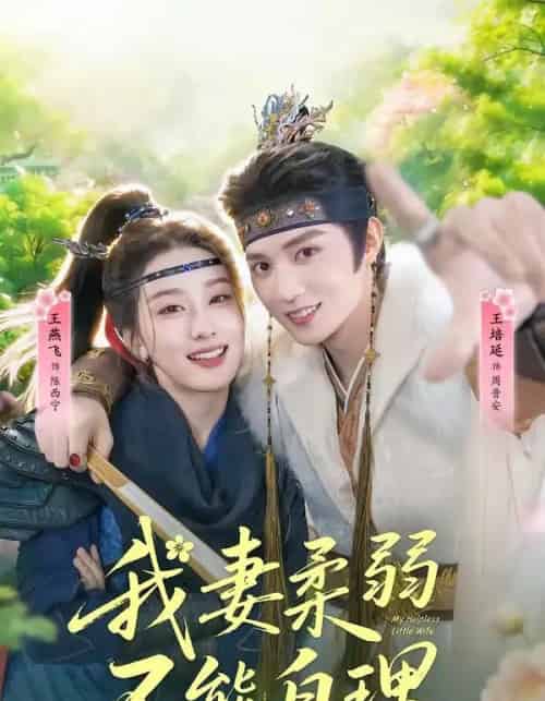 我妻柔弱不能自理 我妻柔弱不能自理
