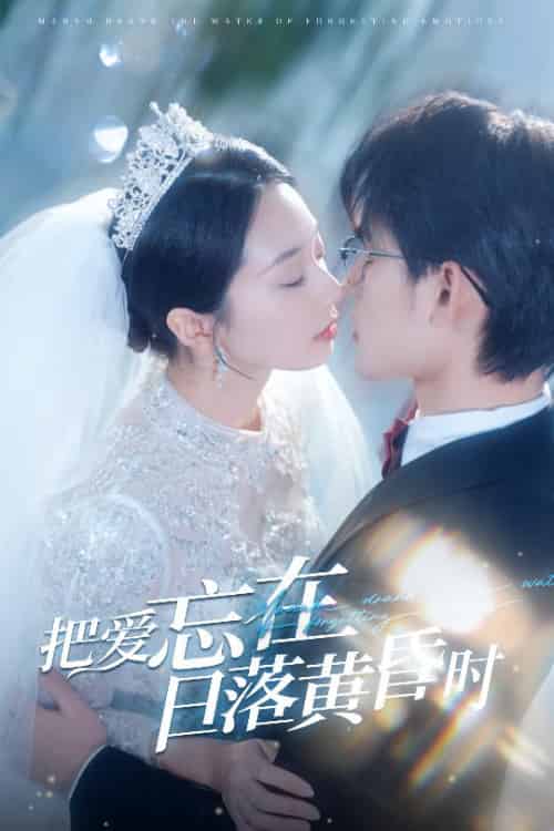 把爱忘在日落黄昏时＆重逢仍是心动（60集全）张力壬＆张紫菡-初遇资源网