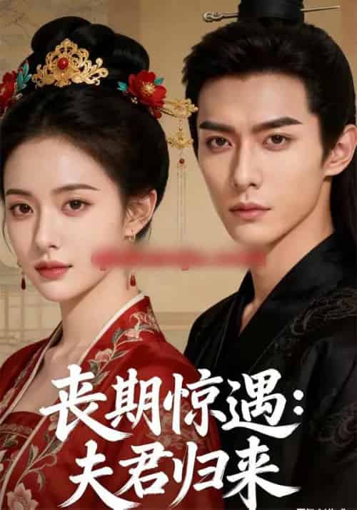 丧期惊遇：夫君归来（49集全）AI-初遇资源网