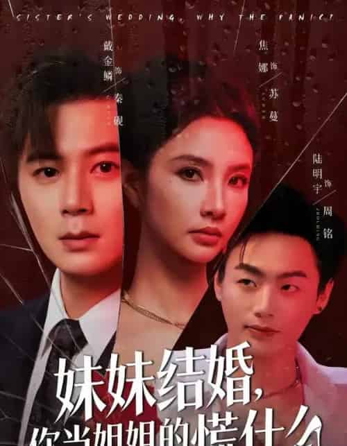 妹妹结婚，你当姐姐的慌什么（53集全）戴金麟＆焦娜-初遇资源网