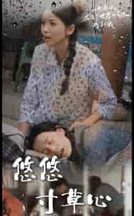 新版：悠悠寸草心（76集）-初遇资源网