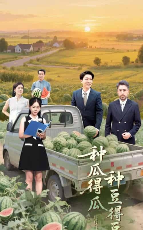 种瓜得瓜种豆得豆（30集）刘丽＆陈子轩-初遇资源网