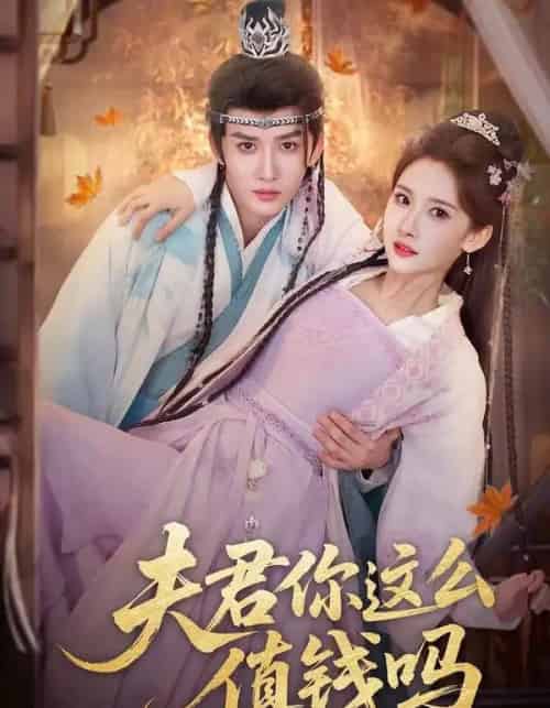 夫君你这么值钱吗（64集全）毕宸睿＆宋昭艺 - 夸克短剧