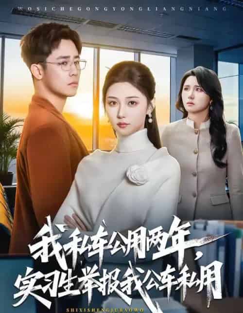 我私车公用两年，实习生举报我公车私用（63集全）程雅昭＆车婷婷-初遇资源网