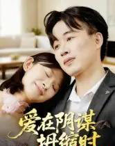 爱在阴谋坍缩时（21集全）曹栋＆谭颖娟-初遇资源网