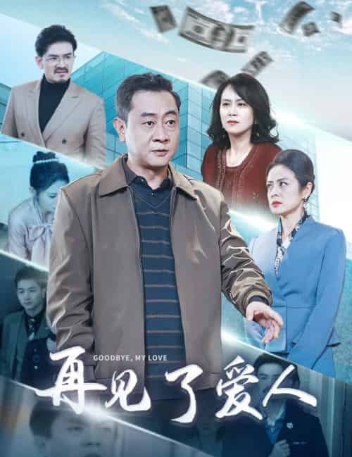 再见了爱人（32集全）-初遇资源网