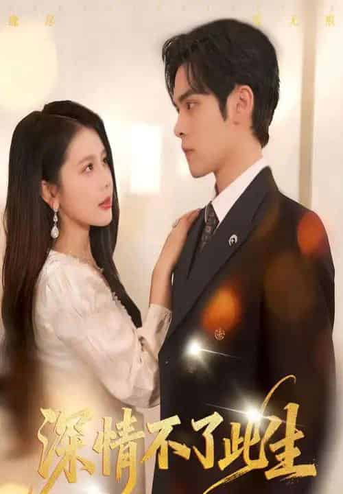 深情不了此生 (60集全)丁海霞&陆天玮-初遇资源网