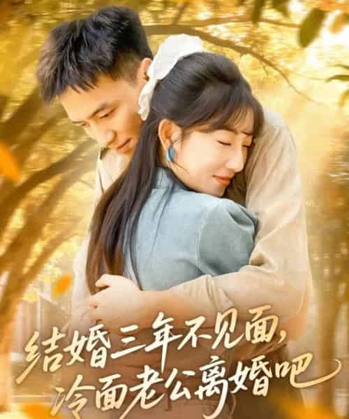 结婚三年不见面,冷面老公离婚吧(67集全)刘乂宇&孙丛珊-初遇资源网