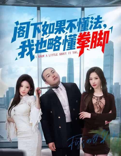 阁下如果不懂法,我也略懂拳脚(77集全)魏华&徐诗颖-初遇资源网