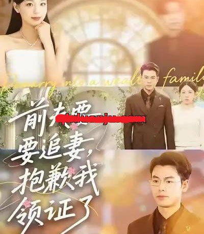前夫要追妻,抱歉我领证了(81集全)柏欢洲&刘煜烨-初遇资源网
