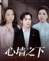 心墙之下（43集全）赵宏甲＆郑抒淼-初遇资源网