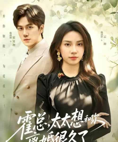 霍总,太太想和你离婚很久了(80集全)陈政阳&杨洛仟-初遇资源网