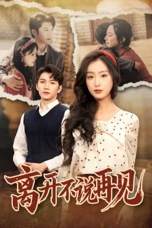 离开不说再见（38集全）金佳遇＆李文瑞-初遇资源网