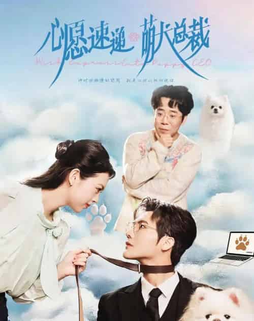 心愿速递之萌犬总裁 心愿速递之萌犬总裁