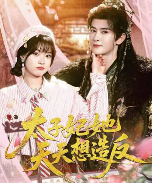 太子妃她天天想造反（89集全）陈冠峄＆杨帆-初遇资源网