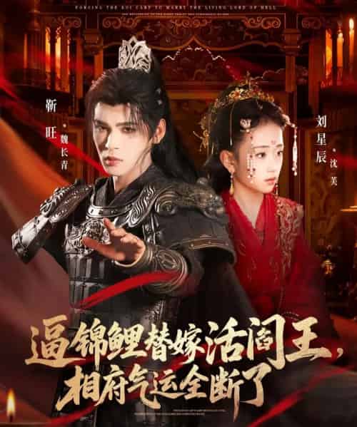 逼锦鲤替嫁活阎王,相府气运全断了(60集全)刘星辰&靳旺-初遇资源网