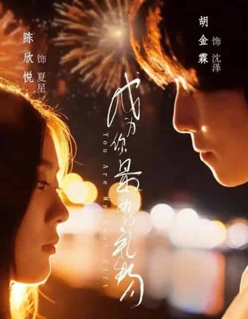 成为你最好的礼物（73集全）胡金霖＆陈欣悦-初遇资源网