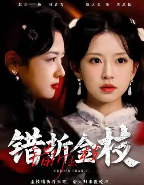 错折金枝（46集全）金泽元＆唐之斐-初遇资源网