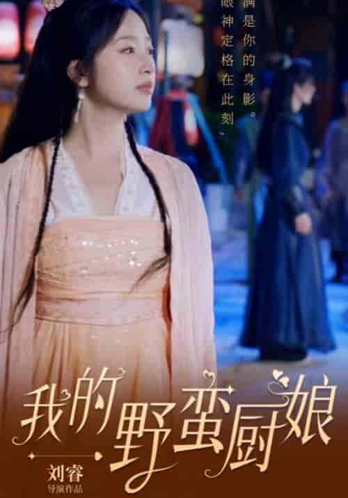 我的野蛮厨娘（64集全）秦轩＆林婉儿-初遇资源网