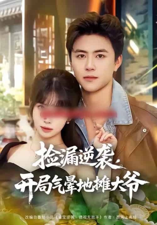 捡漏逆袭，开局气晕地摊大爷（80集全）王依海＆蒋开鑫-初遇资源网