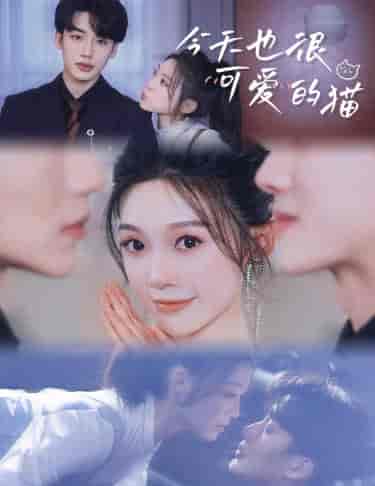 今天也很可爱的猫(72集)-初遇资源网