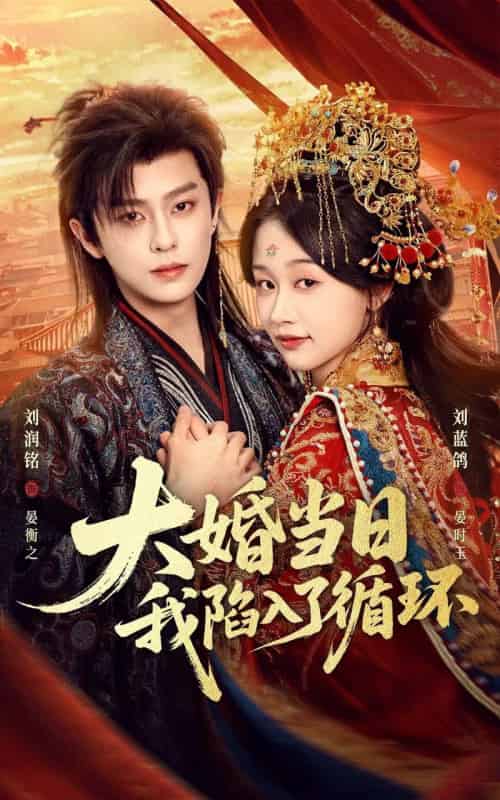 大婚当日,我陷入了循环(67集全)刘润铭&刘蓝鸽-初遇资源网