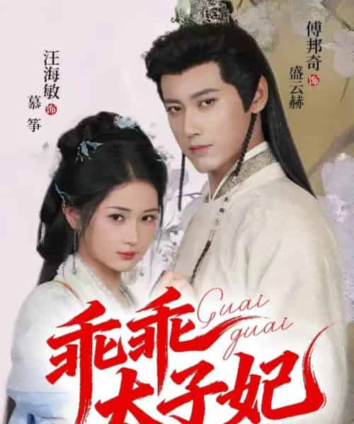 乖乖太子妃（64集全）傅邦奇＆汪海敏-初遇资源网