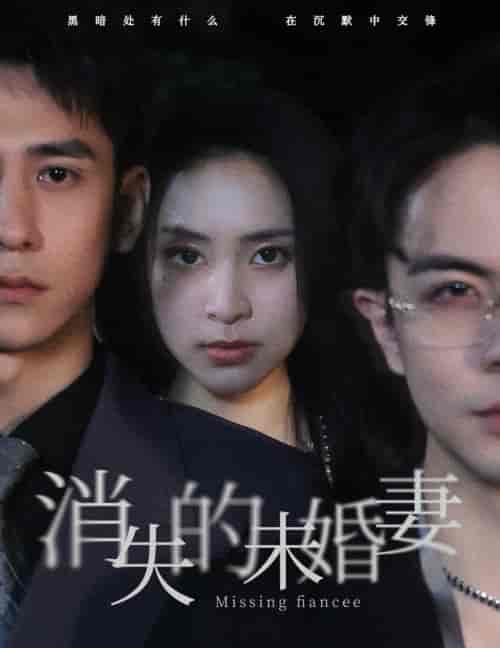 消失的未婚妻（82集）蹇代莉-初遇资源网