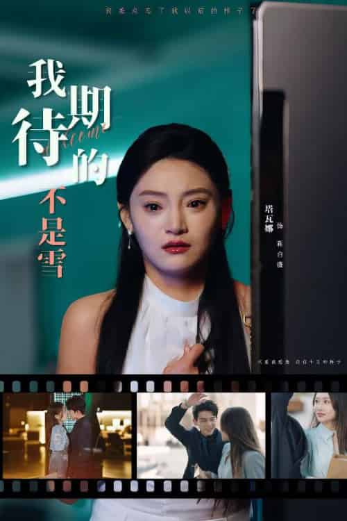 我期待的不是雪（30集全）塔瓦娜-初遇资源网