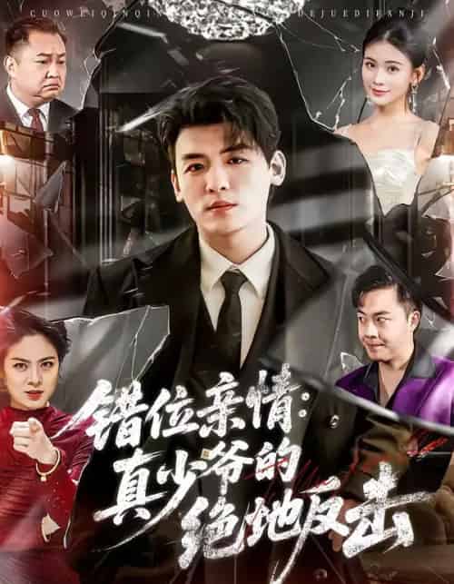 错位亲情:真少爷的绝地反击 错位亲情:真少爷的绝地反击