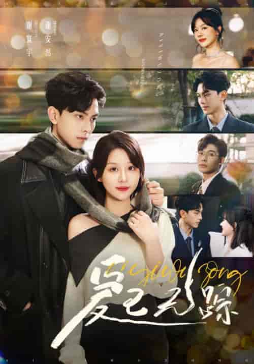 爱已无踪（35集全）陆明非＆谢安然-初遇资源网