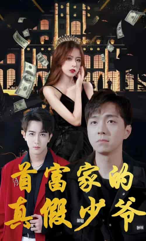 首富家的真假少爷(73集)-初遇资源网