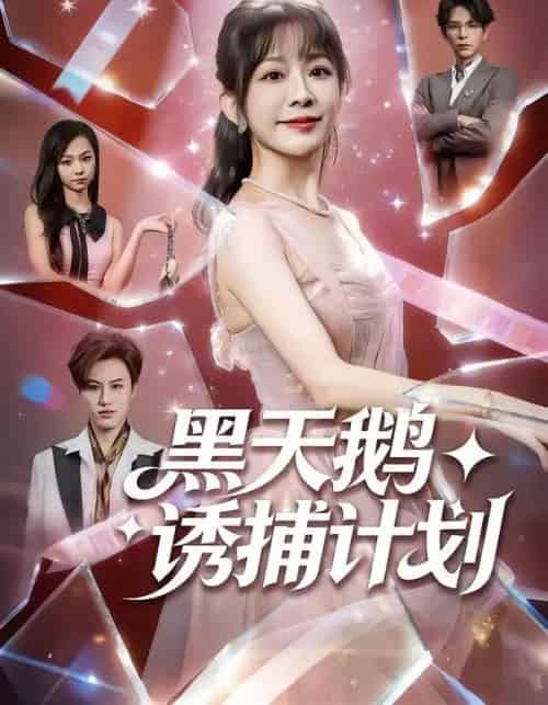 黑天鹅诱捕计划(81集全)林筱艾&祁木-初遇资源网