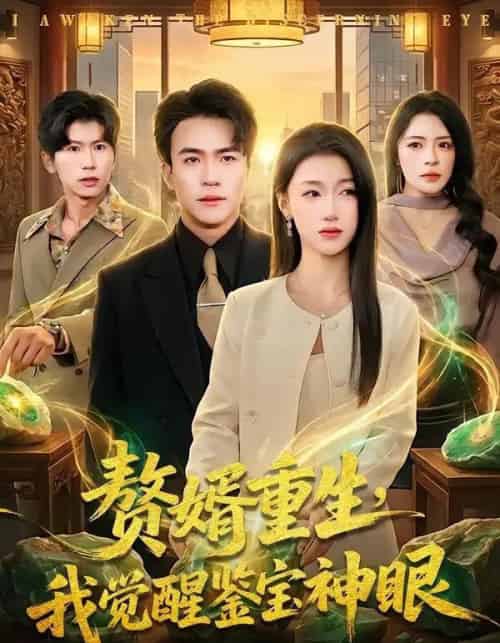 赘婿重生,我觉醒鉴宝神眼(80集全)王熠星&安玥-初遇资源网