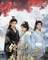 绔少让我接近小公爷,我直接嫁了(61集全)李泊瀚&王宇婧-初遇资源网