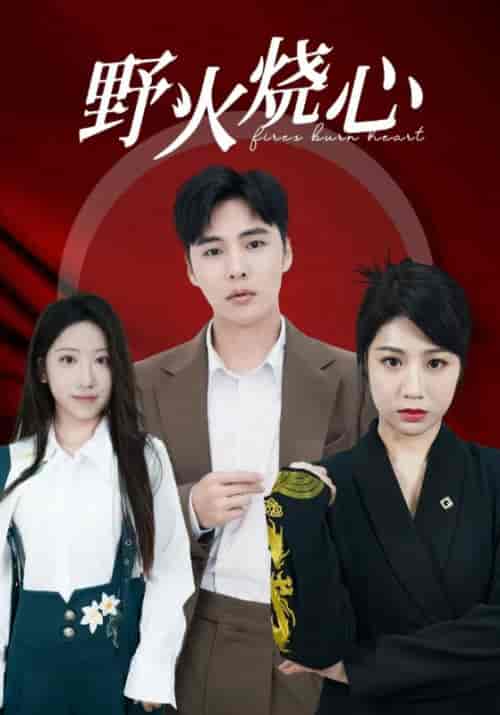 野火烧心(69集全)-初遇资源网