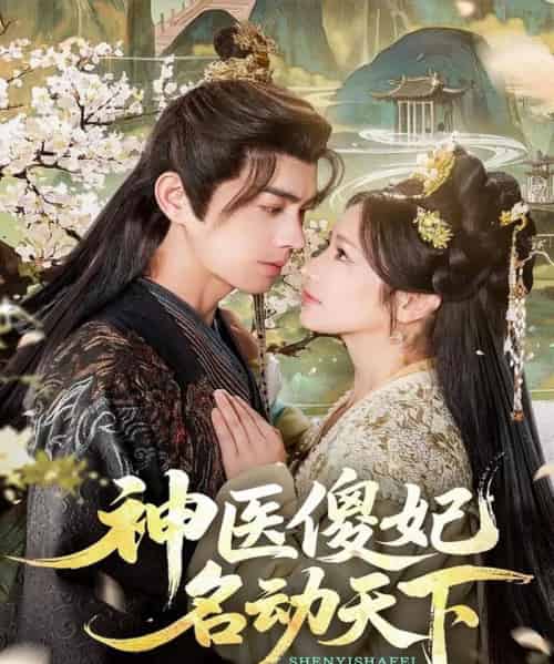 神医傻妃名动天下（80集全）王彦鑫＆伍姣-初遇资源网