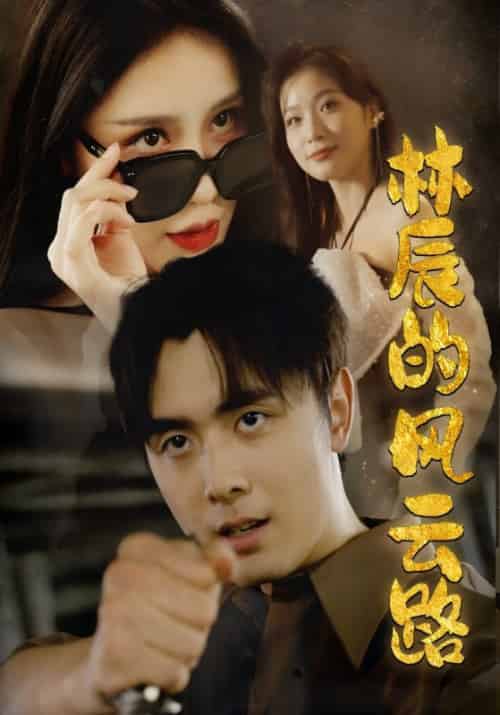 林辰的风云路（79集全）林辰＆舒梦月-初遇资源网