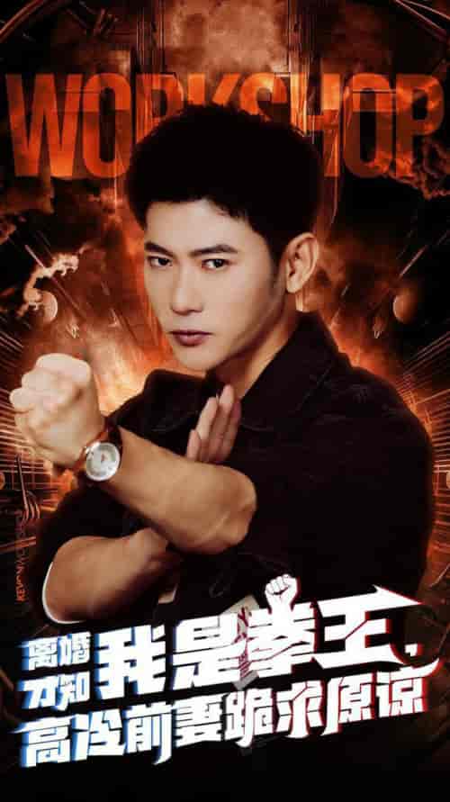 离婚才知我是拳王，高冷前妻跪求原谅（60集全）-初遇资源网