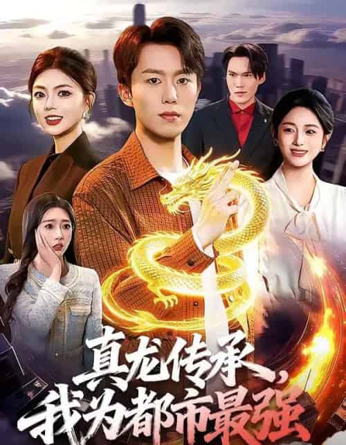 真龙传承,我为都市最强(103集全)赵书苑&邵迪-初遇资源网