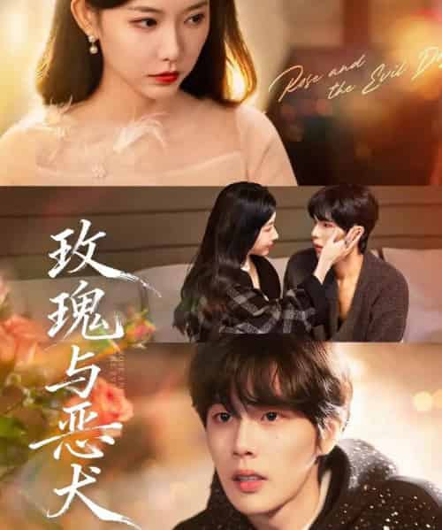 玫瑰与恶犬(80集全)马义炎&盛晨-初遇资源网