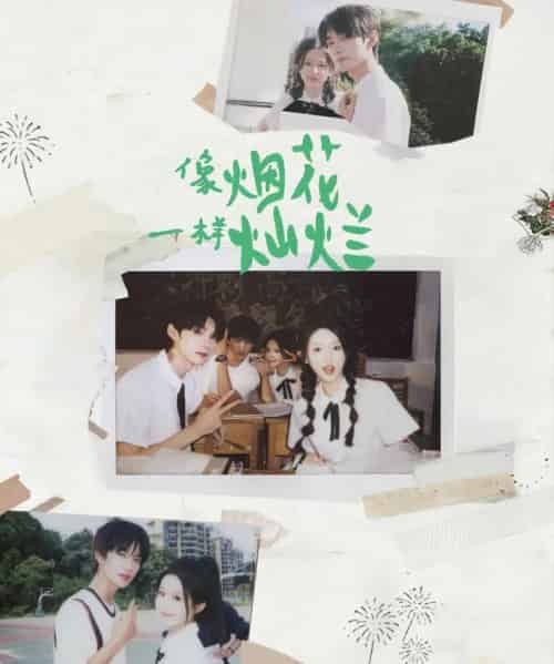 像烟花一样灿烂（60集全）王译磊＆张翅＆李柯以＆余茵-初遇资源网