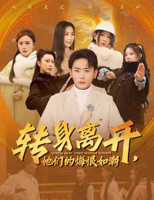 转身离开她们的悔恨如潮（60集全）宣以豪＆耿池苏＆王妍-初遇资源网