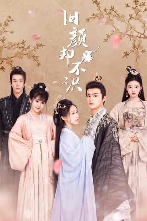 旧颜却不识&曲终人亦散(77集)-初遇资源网