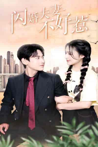 闪婚夫妻不好惹（90集）宋彧佳-初遇资源网