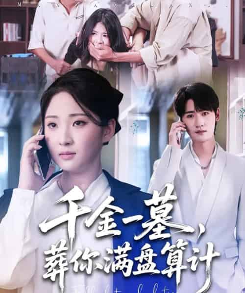 千金一墓，葬你满盘算计（30集全）高铭远＆方雪婷-初遇资源网