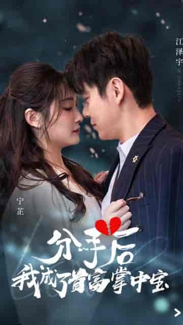 分手后我成了首富掌中宝（67集）-初遇资源网