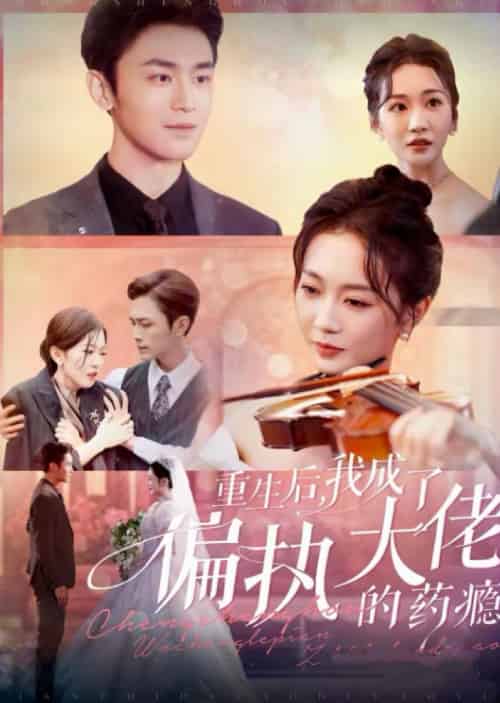 重生后我成了偏执大佬的药瘾＆沈溺晚星（96集全）周航＆姚宇晨-初遇资源网