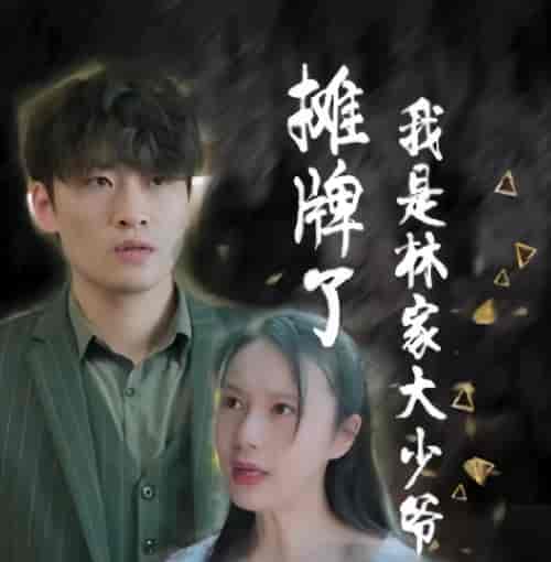 摊牌了，我是林家大少爷（新：医仙神婿）（102集）-初遇资源网