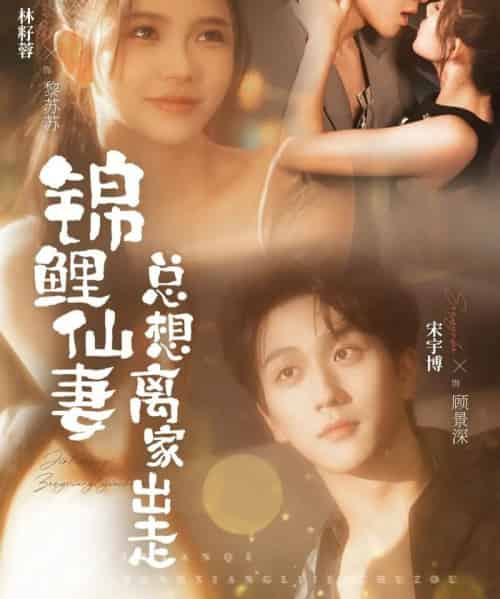 锦鲤仙妻总想离家出走（64集全）林籽蓉＆宋宇博-初遇资源网